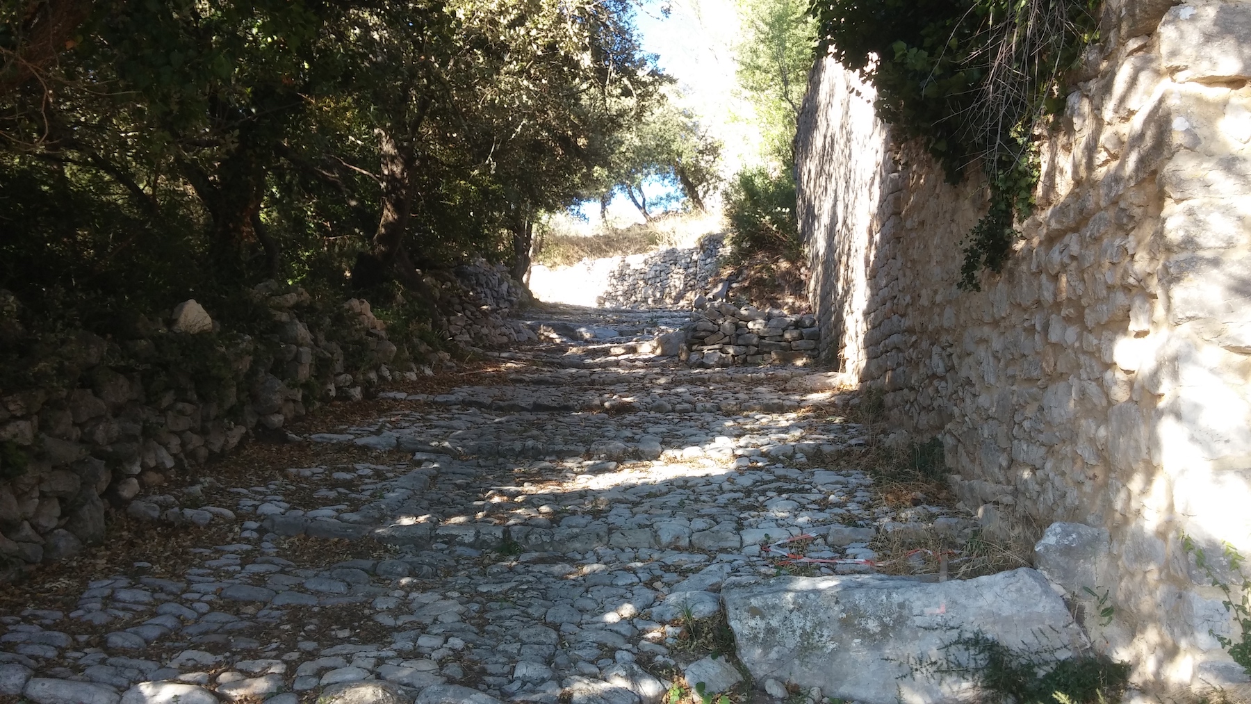 Sur les routes médiévales